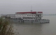  “回頭看”典型案例通報（一）丨安慶市江豚自然保護(hù)區(qū)不斷瘦身 “水中大熊貓”生境堪憂