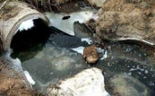  cod能反映水質(zhì)污染情況嗎？