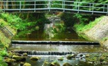  河南開封飲用水水源地環境問題整治工作不嚴不實