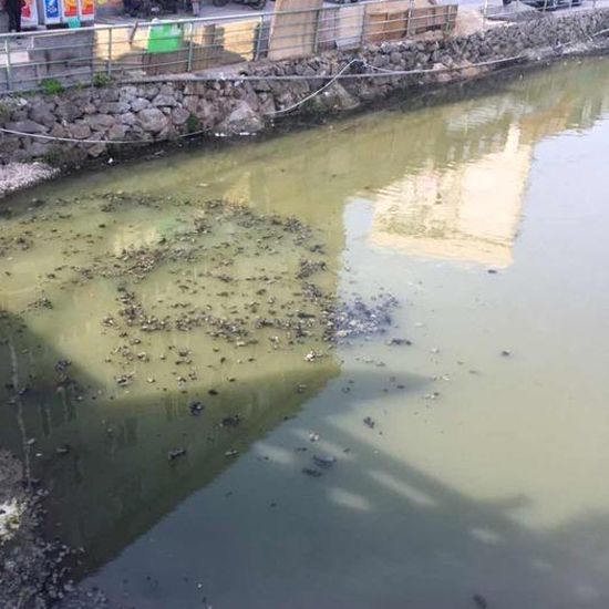  秋冬交替，污泥又到了換季膨脹的季節